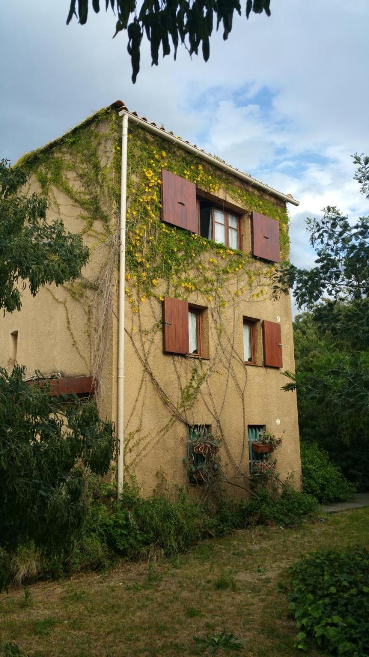 Casa Orsoni Lägenhet Calvi  Rum bild